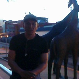 ������, ������, 48 ���