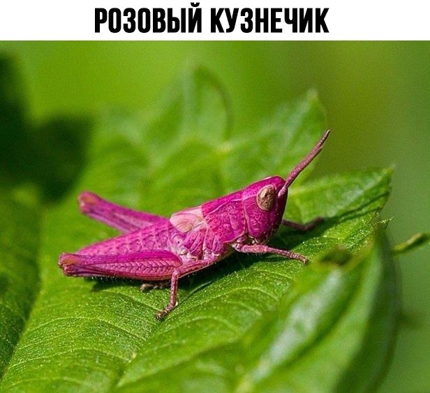    ! - 20  2022  11:03