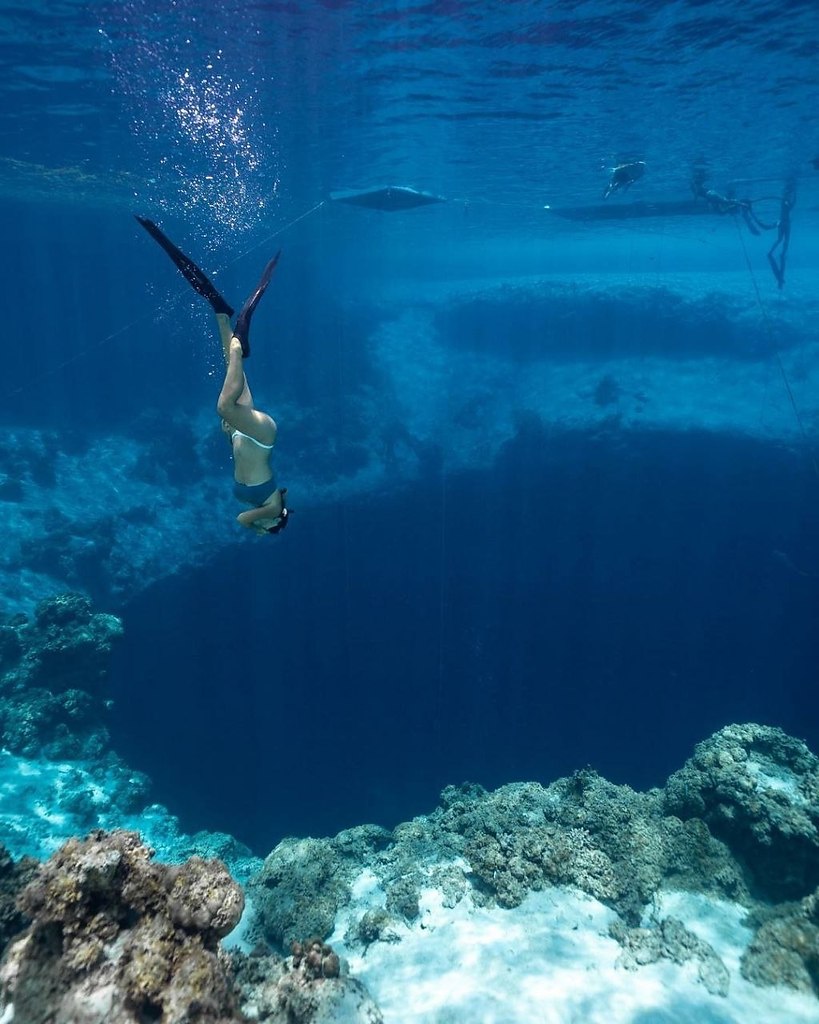  ,   .     ,   ... - 5