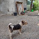 ���� ��������, �����, 73 ���� - ��������� 26 ������� 2022