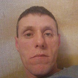 ������, �����������, 41 ���