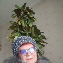 ���� �������, �������, 71 ��� - ��������� 2 ������� 2023