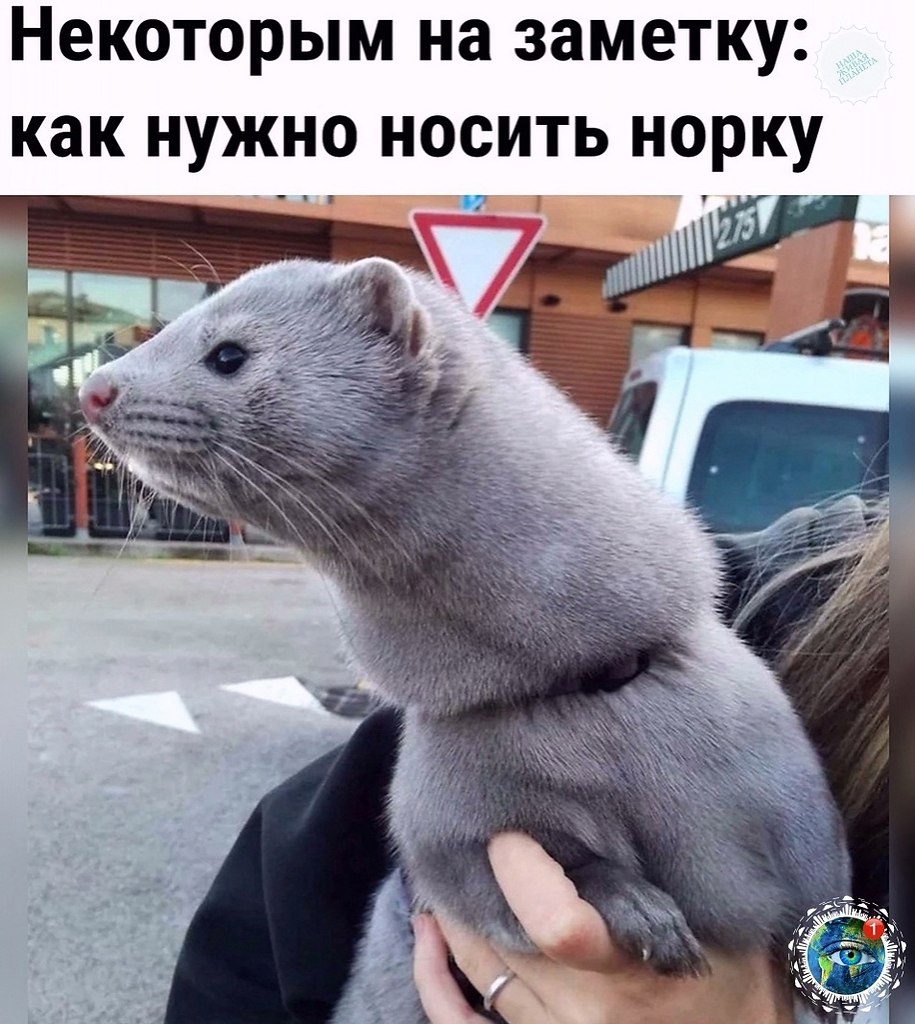 opo a    apa  , pa, pa, op, oa, ...