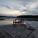  , , 50  -  5  2022    