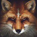 ���� �����, ������, 34 ���� - ��������� 18 ������� 2023 � ������ ���� ����������