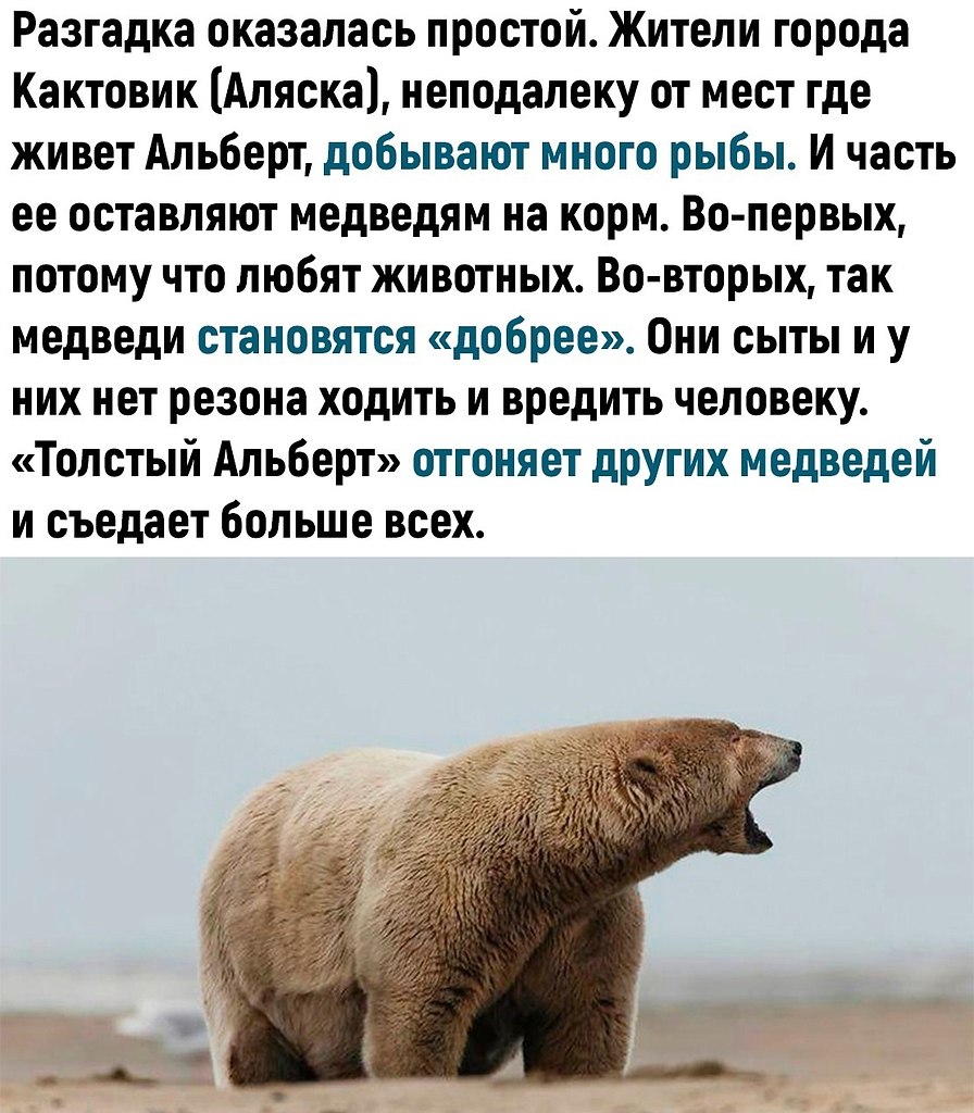     .   - 3