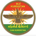 ���� �����, ������, 62 ���� - ��������� 9 ������� 2022