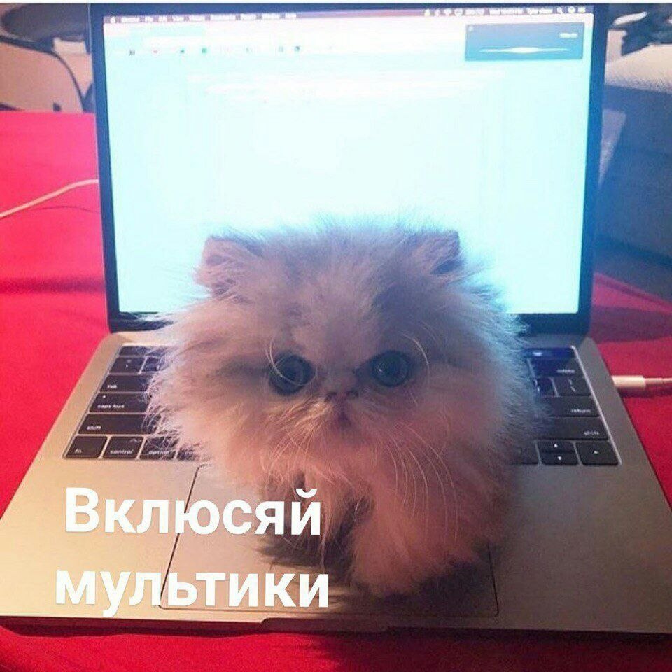    - 20  2022  01:33
