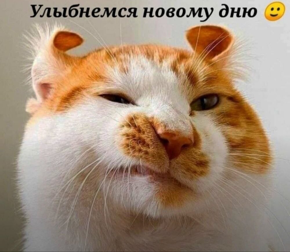   - 24  2022  06:49