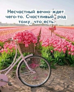   - 10  2022  07:12