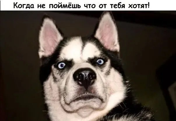 ***Victoria Viktorovna*** - 19  2022  05:56