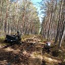 ���� �����, �����-��������� - ��������� 15 �������� 2022 � ������ ���� ����������