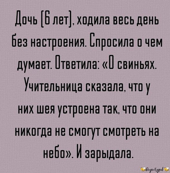   - 2  2022  07:49