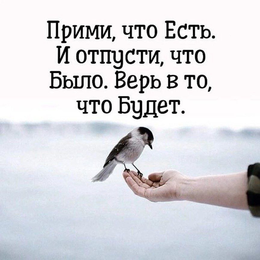  |   - 16  2022  16:37