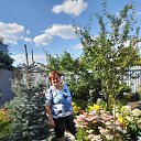 ���� �����, ������������, 66 ��� - ��������� 8 ������� 2022 � ������ ���� ����������