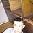 ���� Mesha, �����, 37 ��� - ��������� 5 ������ 2023