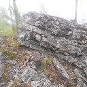  ***L***,   -  2  2022    ܻ