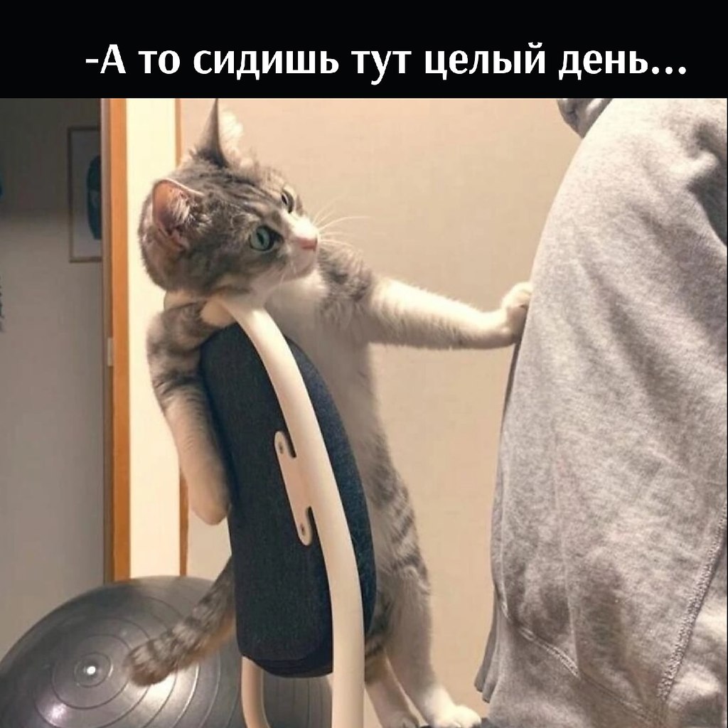       - 25  2022  15:32 - 3