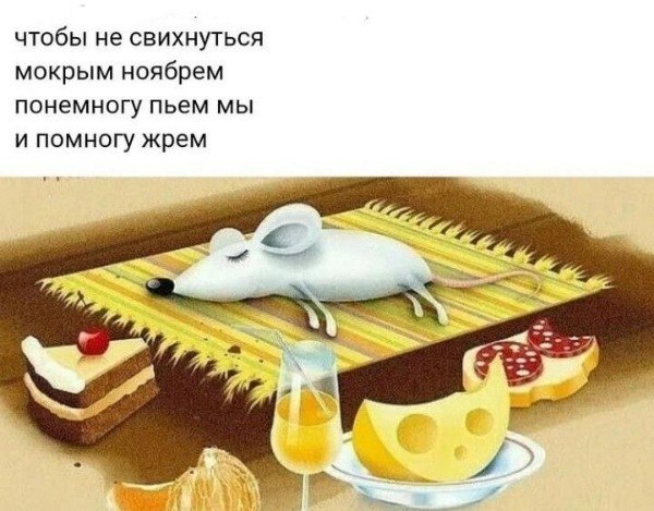  - 3  2022  11:21
