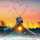 ���� �������, �����������, 50 ��� - ��������� 22 ������� 2022