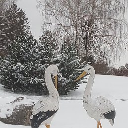  ,  -  11  2022