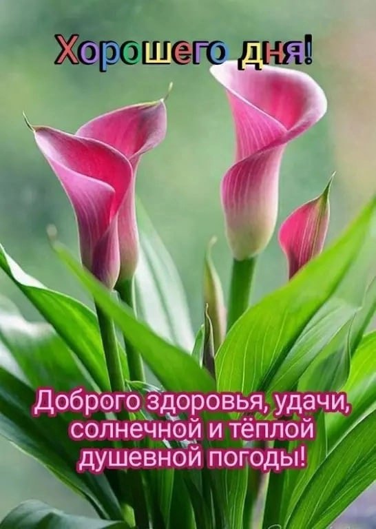   ,    . - 15  2022  15:03