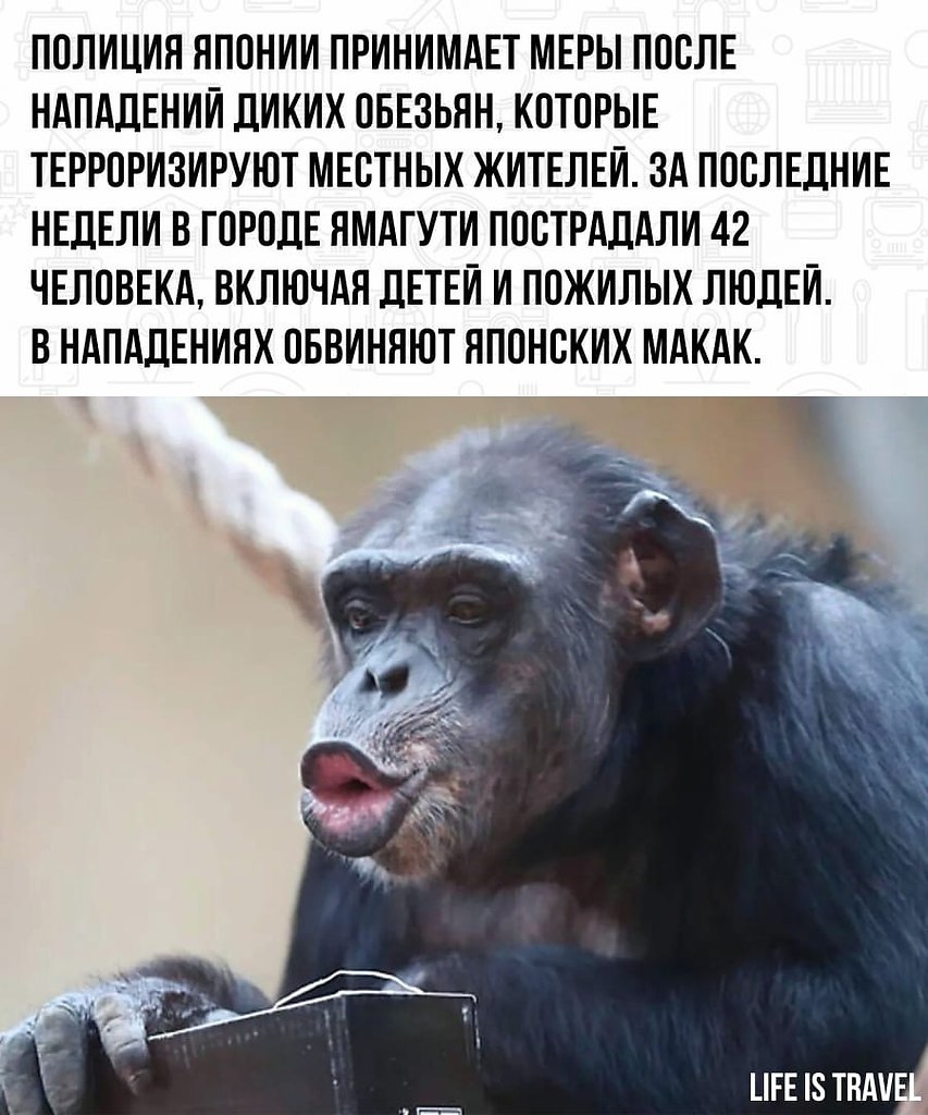   ,         - 2