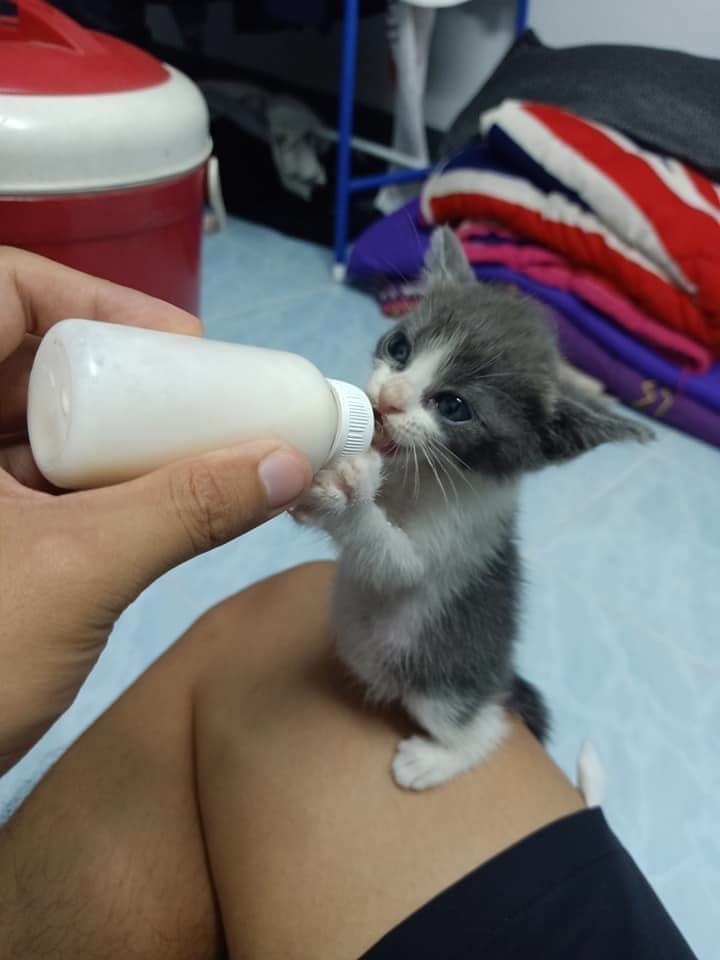           .