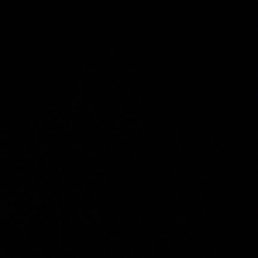 ����, ������, 32 ����