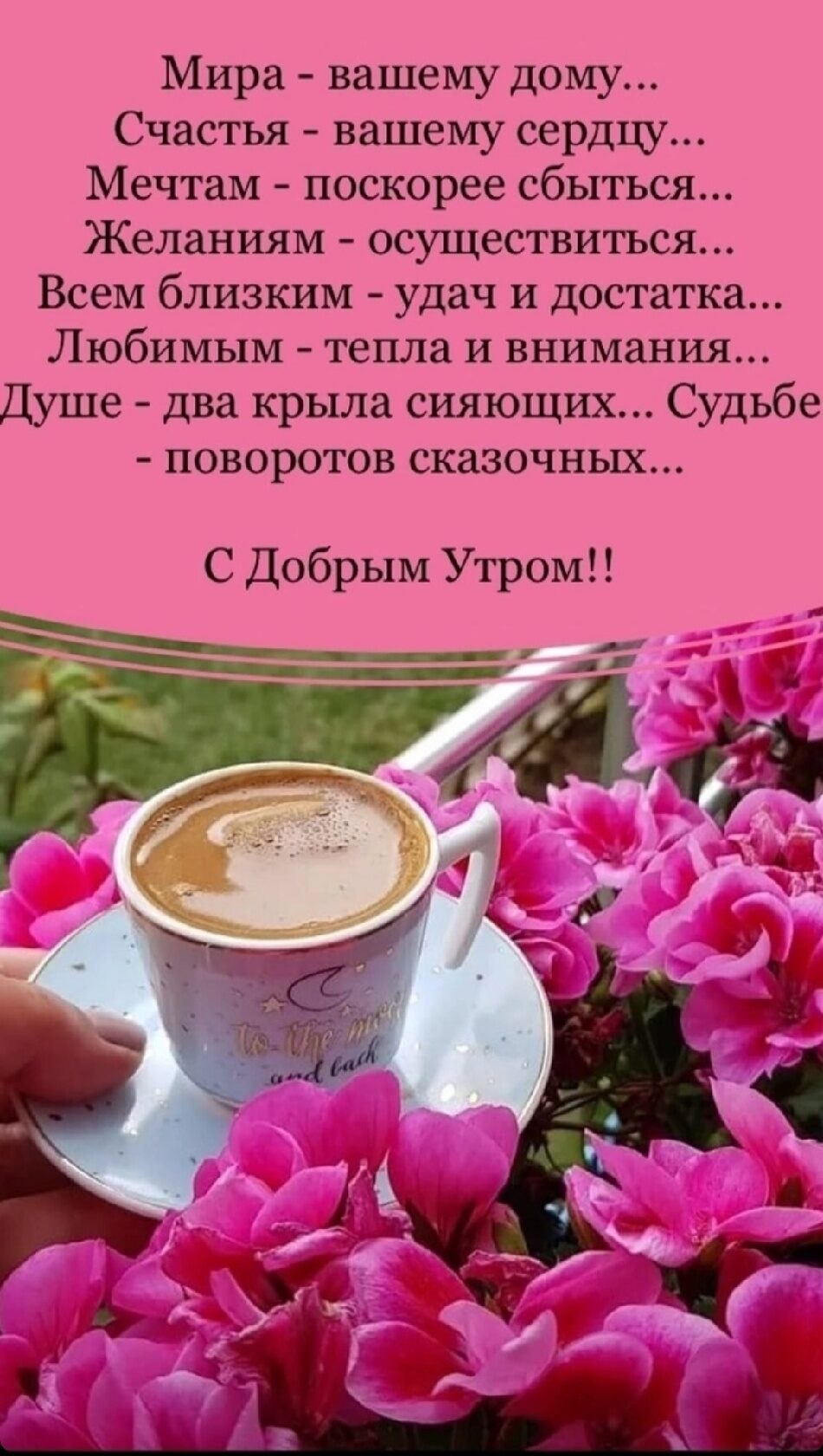 ***Victoria Viktorovna*** - 6  2022  06:40