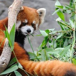 ���� �������, ����-���, 50 ��� - ��������� 15 ������� 2022