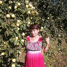 ���������, ������, 67 ���