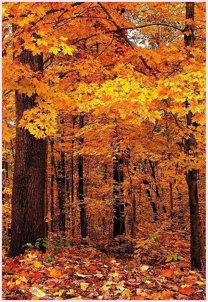 Handmade Club |  .y - 2