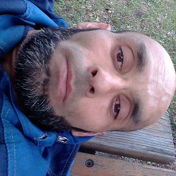 �����, ������, 43 ����