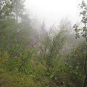  ***L***,   -  2  2022    ܻ