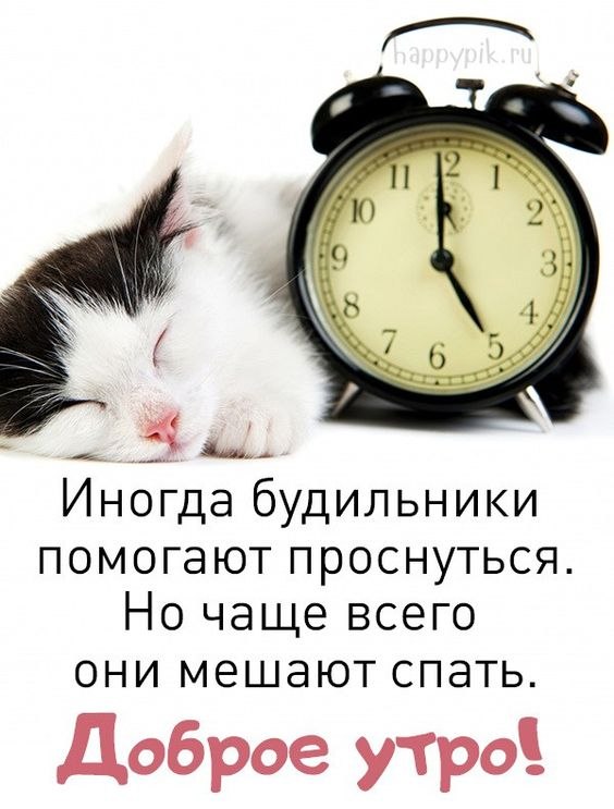   - 23  2022  06:55