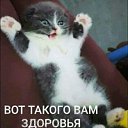 ���� ���������, ���������� - ��������� 30 ������ 2022 � ������ ������ ��������