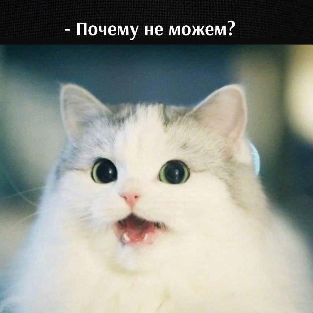       - 13  2023  16:49 - 2