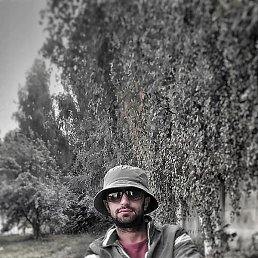 Shohron, ������, 27 ���