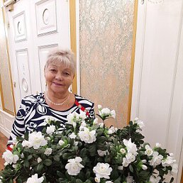 ���� �������, ������, 72 ���� - ��������� 18 ������� 2023