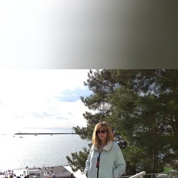 ���� ������, ������������, 61 ��� - ��������� 3 ������ 2022