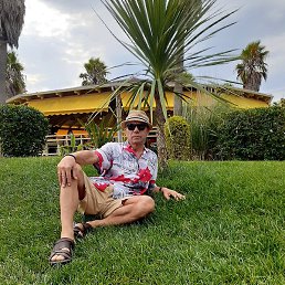 �������, ������, 65 ���