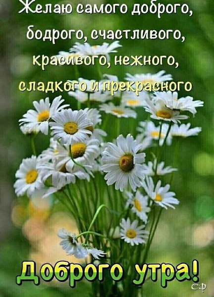   ,    . - 27  2022  16:43 - 3