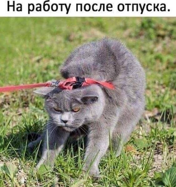   - 21  2022  06:57