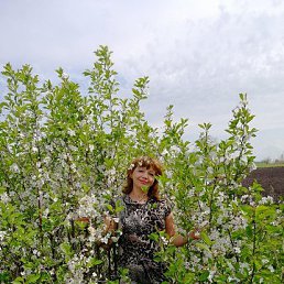 ���� �����, ������, 57 ��� - ��������� 23 �������� 2022