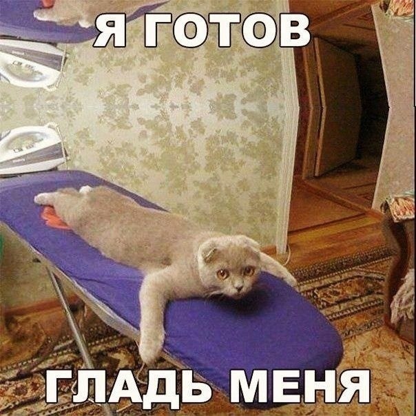    - 1  2022  07:12