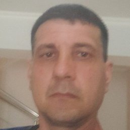 �������, ����������, 41 ���