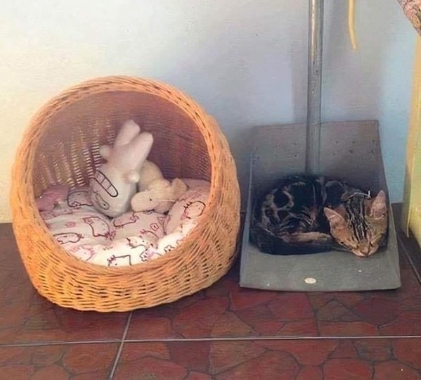   ,  ,  !