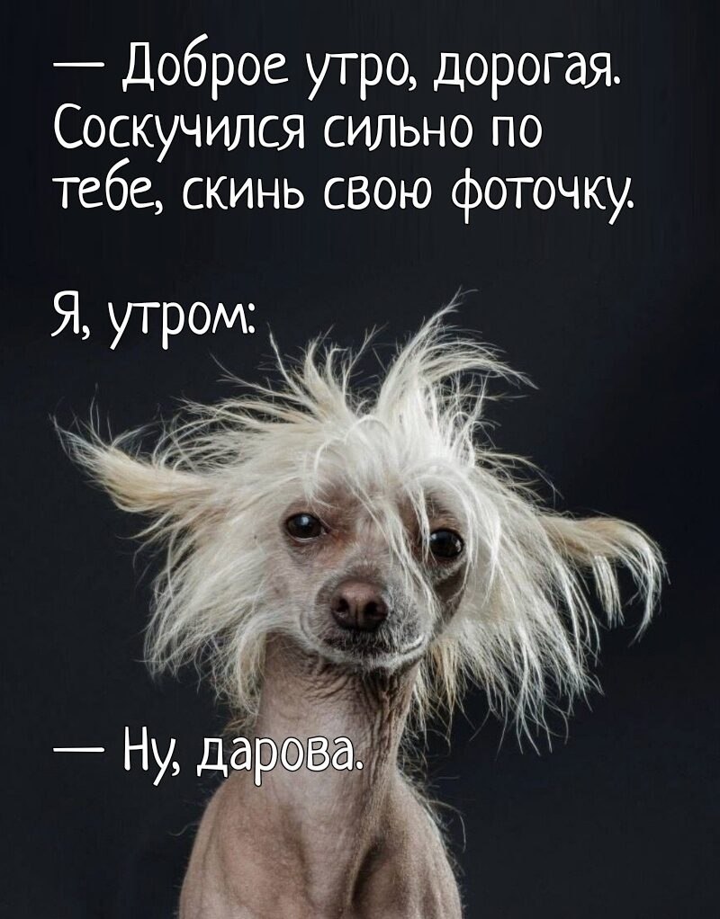 ***Victoria Viktorovna*** - 6  2022  07:16