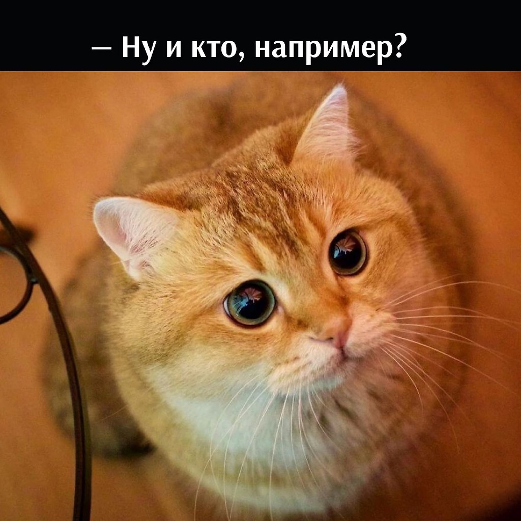       - 8  2022  16:27 - 3
